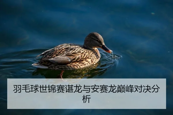 羽毛球世锦赛谌龙与安赛龙巅峰对决分析