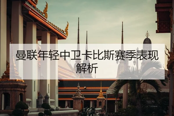 曼联年轻中卫卡比斯赛季表现解析